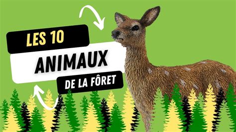 Les Petits Animaux de la Forêt - Miniatyyri Taide ja Mystiikka Yksikköinä!